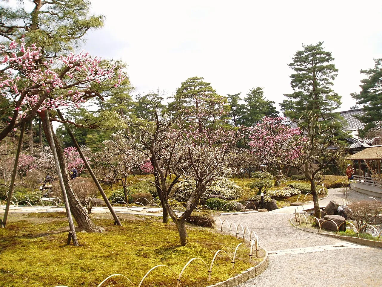 Vườn Kenrokuen, Kanazawa, Ishikawa