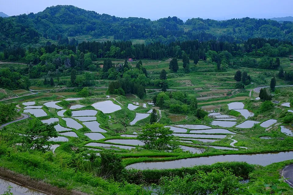 Ruộng bậc thang Hoshitoge, Tokamachi, Niigata
