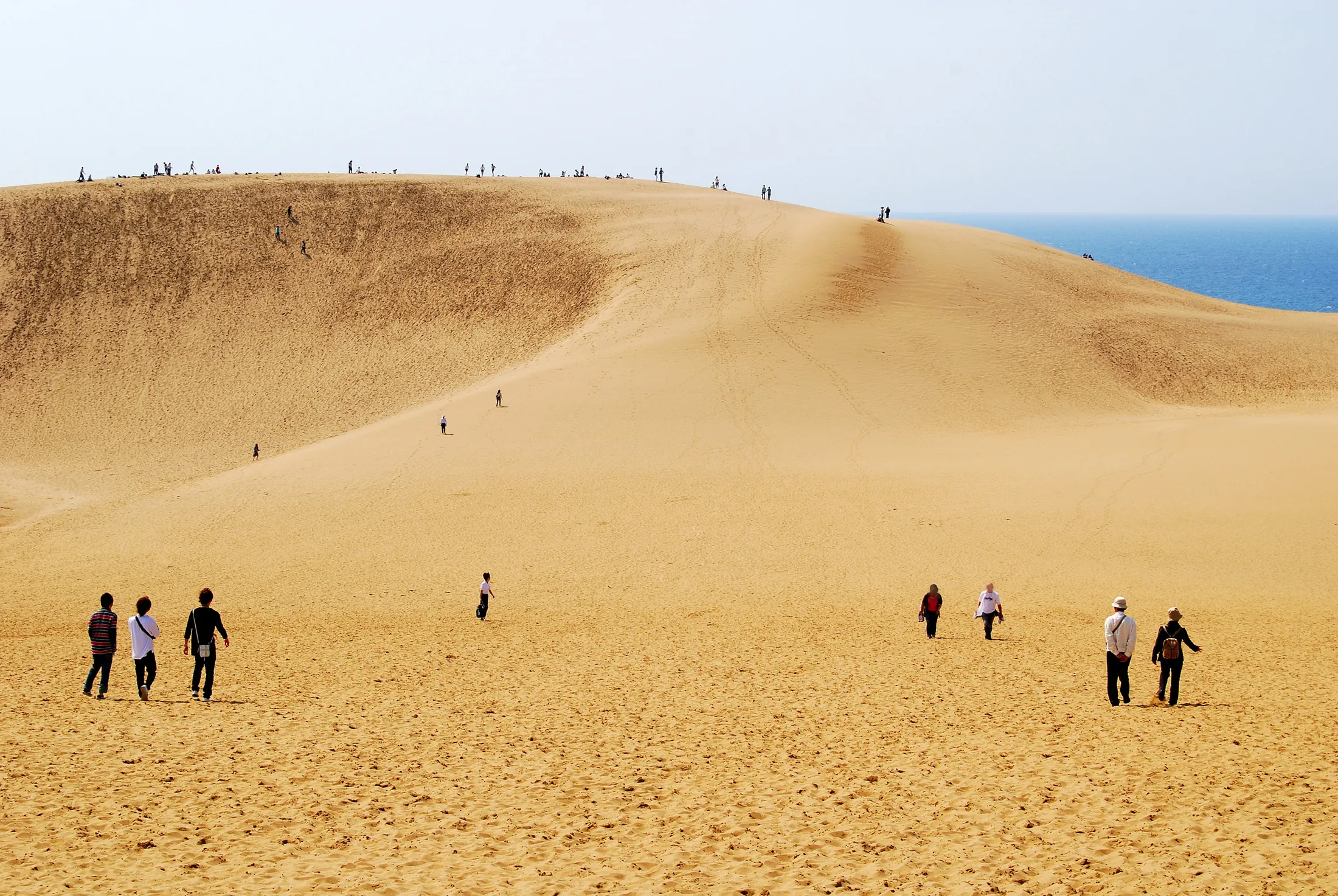 Đồi cát Tottori