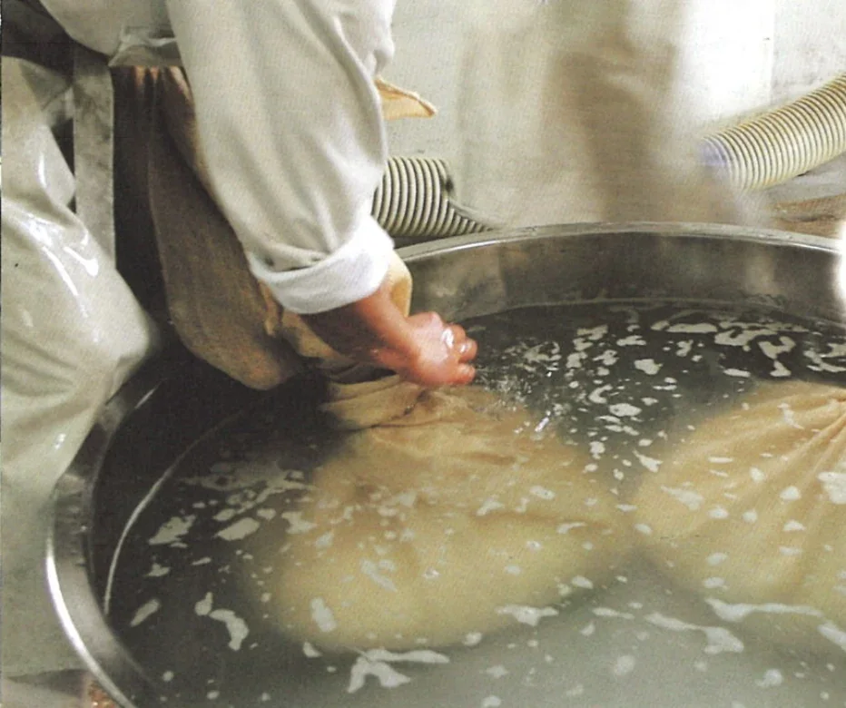 Công đoạn vo gạo nấu sake